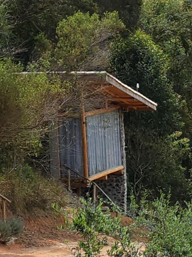 Tiny Houses O Olival - Aluguel Temporada Cunha Exterior foto